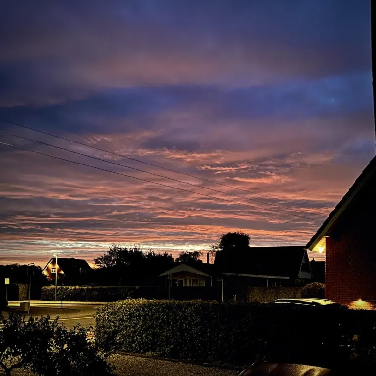 A street, streetlights, and residential housing. In the background a purple, pink, and blue morning sky.