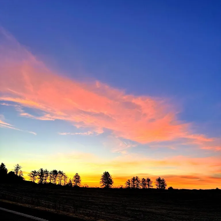 Silhouette of a tree line. Dark fields and a patch of road in the front. A golden and blue morning sky in the background.