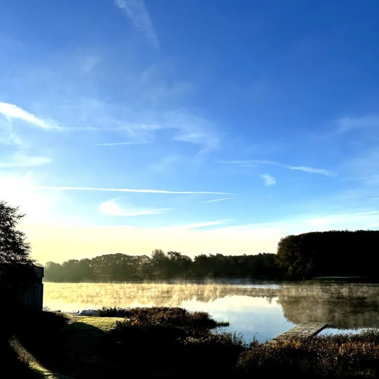 Silhouettes of trees surrounding a misty lake in the morning light. The sky is blue with a few whispy clouds.