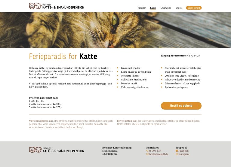 Mockup: Kattepension